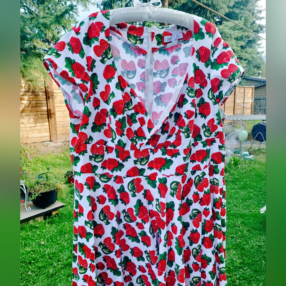 PLUS SIZE MODCLOTH STRAWBERRY DRESS 🍓